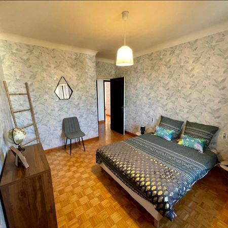 Tres Grand Appartement A 10 Min A Pied Du Centre Castres  Dış mekan fotoğraf
