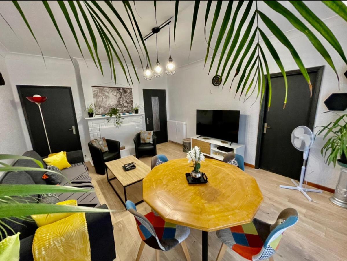 Tres Grand Appartement A 10 Min A Pied Du Centre Castres  Dış mekan fotoğraf