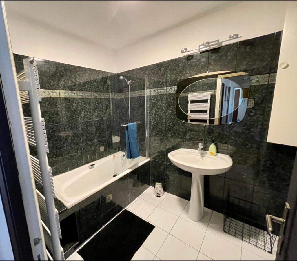 Tres Grand Appartement A 10 Min A Pied Du Centre Castres  Dış mekan fotoğraf