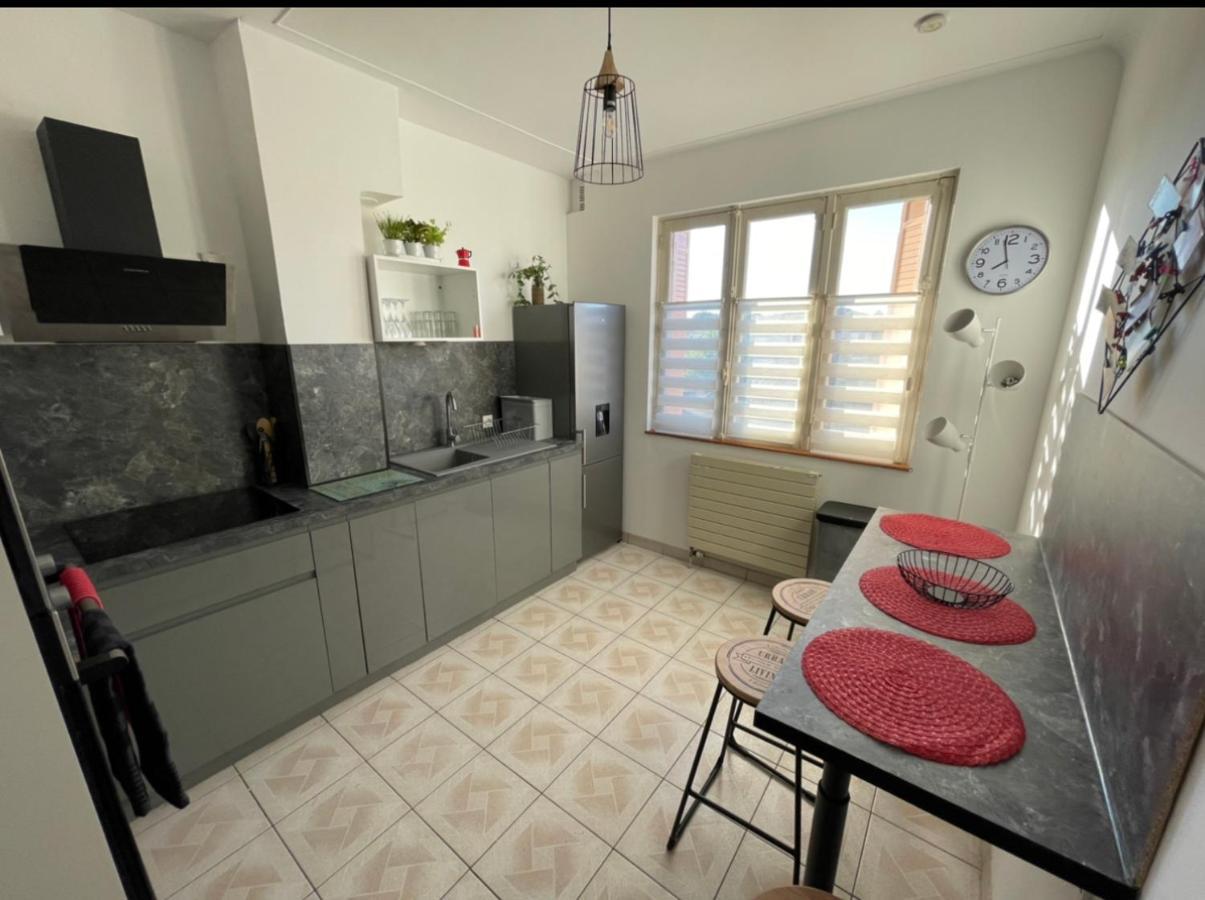 Tres Grand Appartement A 10 Min A Pied Du Centre Castres  Dış mekan fotoğraf